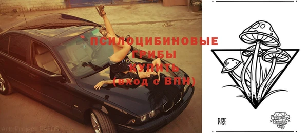 молекула духа Арсеньев