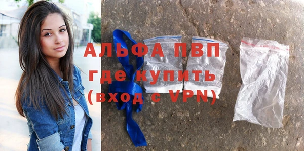 молекула духа Арсеньев