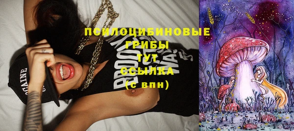 молекула духа Арсеньев