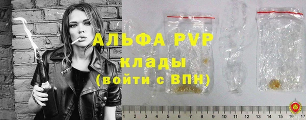 молекула духа Арсеньев