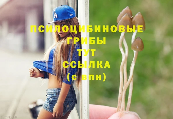 молекула духа Арсеньев